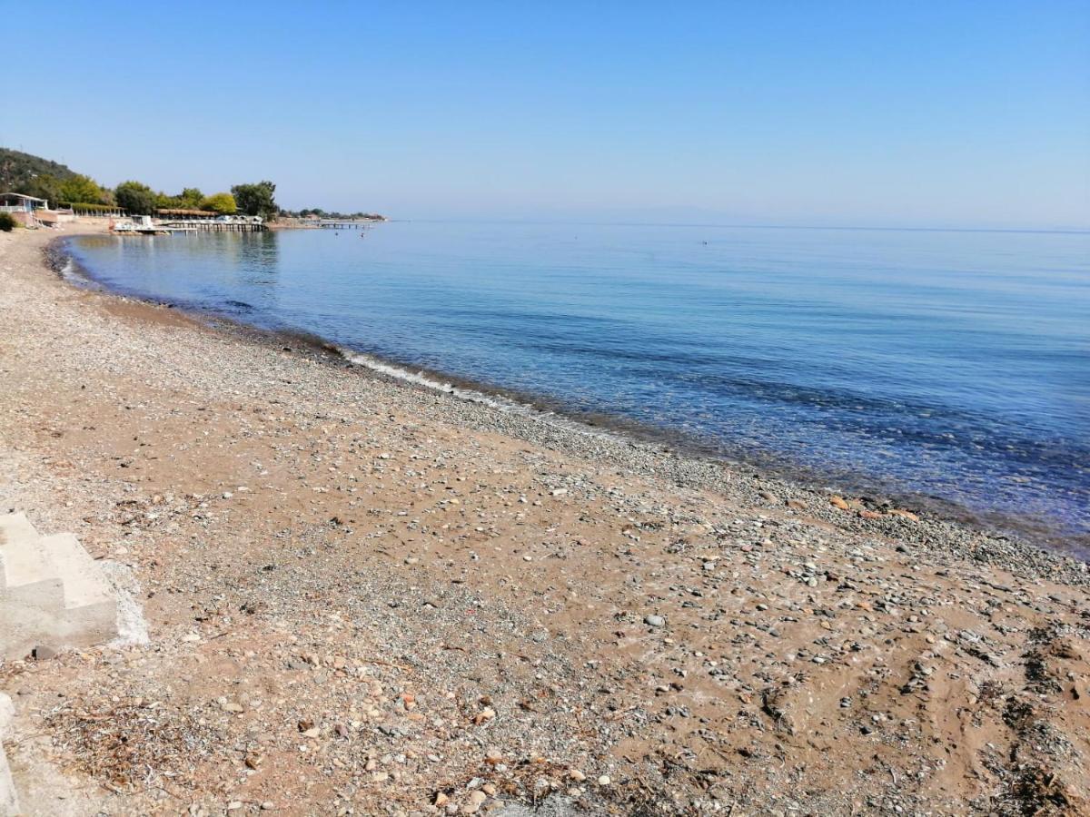 Assos Yali Butik Otel Beach Ahmetce  エクステリア 写真